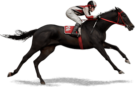 bookie betting pools mime horse 2